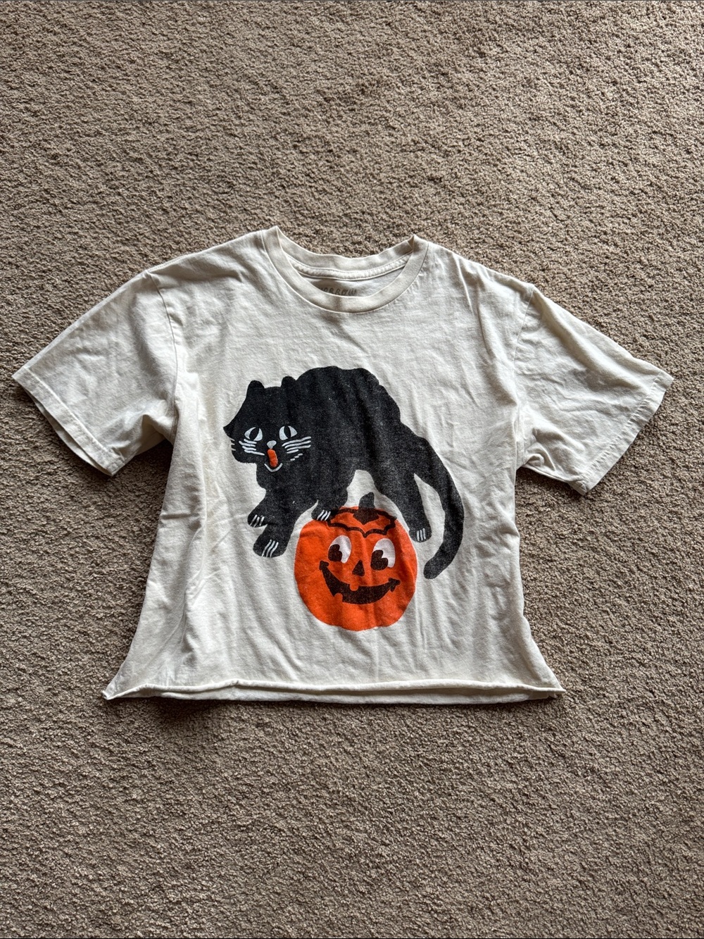 Yarrow Goods Cropped Halloween Tee